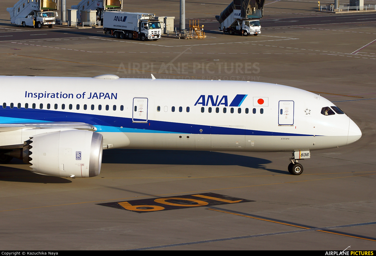 ANA - All Nippon Airways JA836A aircraft at Tokyo - Haneda Intl