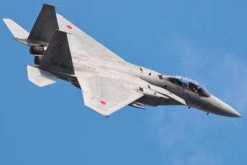 92-8070 - Japan - Air Self Defence Force Mitsubishi F-15DJ