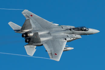 82-8902 - Japan - Air Self Defence Force Mitsubishi F-15J