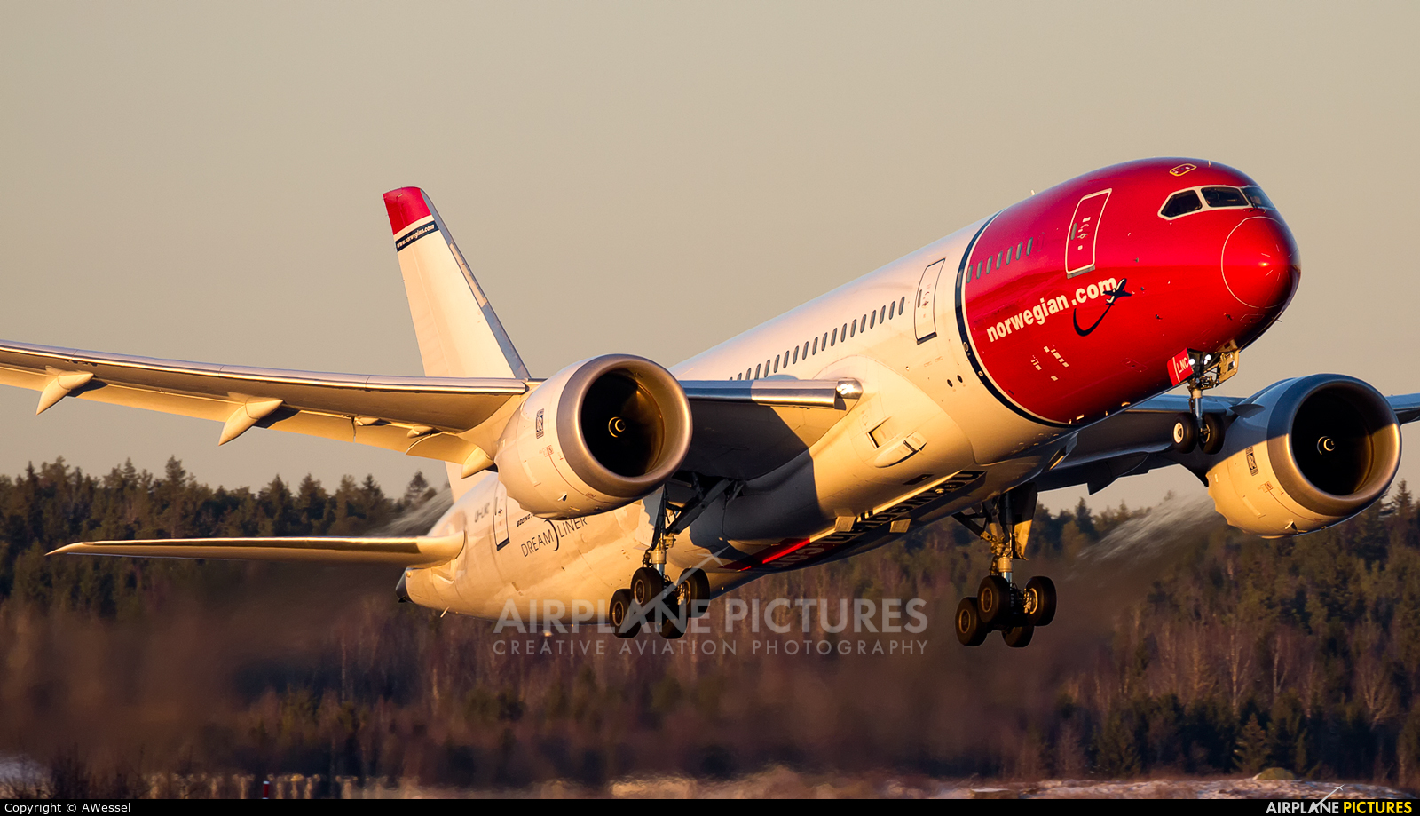 Norwegian Air International LN-LNC aircraft at Stockholm - Arlanda