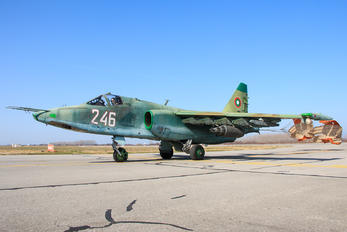 246 - Bulgaria - Air Force Sukhoi Su-25K