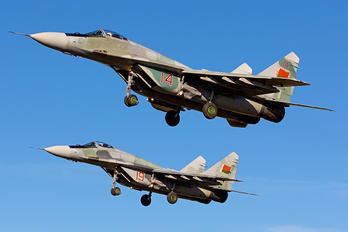 14 - Belarus - Air Force Mikoyan-Gurevich MiG-29