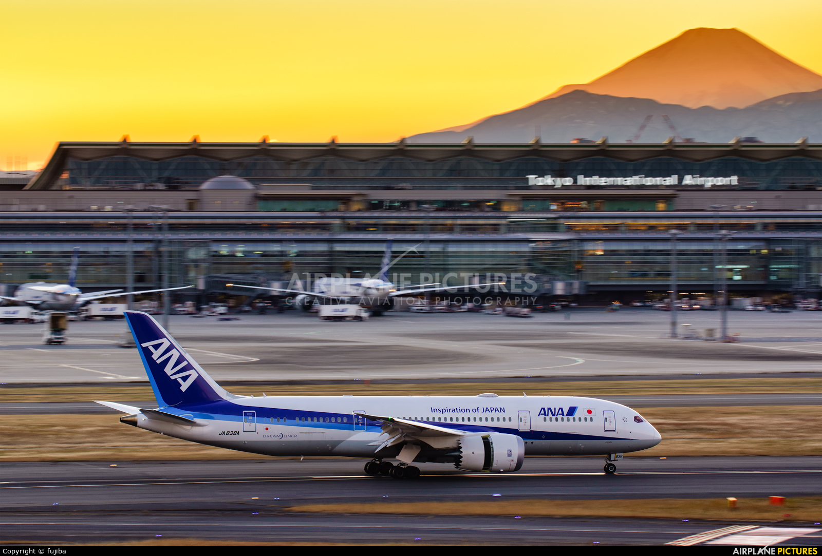 ANA - All Nippon Airways JA838A aircraft at Tokyo - Haneda Intl