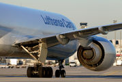 Lufthansa Cargo D-ALFD image