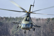Poland- Air Force: Special Forces 601 image