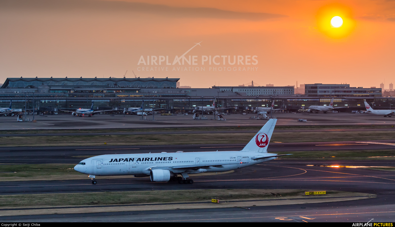 JAL - Japan Airlines JA8978 aircraft at Tokyo - Haneda Intl