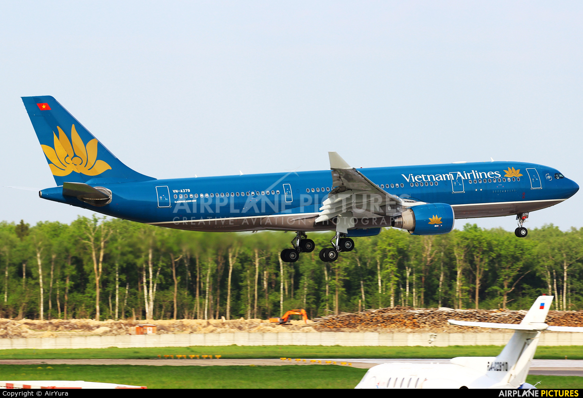 Vietnam Airlines VN-A379 aircraft at Moscow - Domodedovo