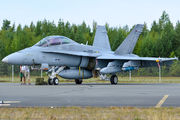 HN-446 - Finland - Air Force McDonnell Douglas F-18D Hornet aircraft