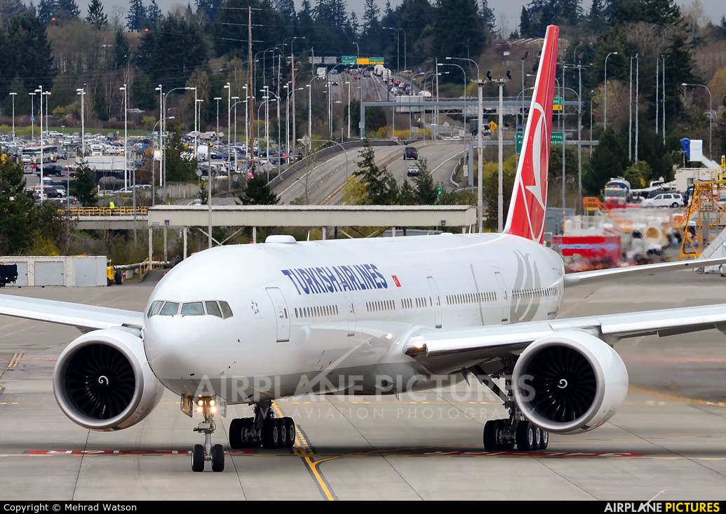 Turkish Airlines TC-LJF aircraft at Everett - Snohomish County / Paine Field