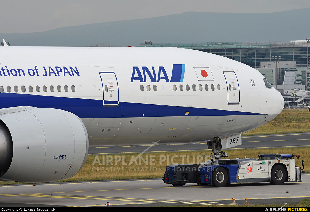 ANA - All Nippon Airways JA787A aircraft at Frankfurt