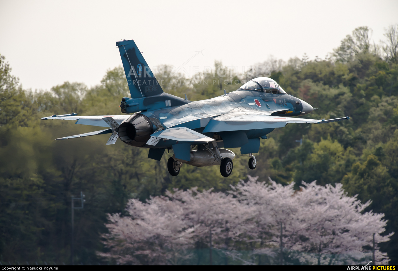 Japan - Air Self Defence Force 13-8514 aircraft at Gifu AB