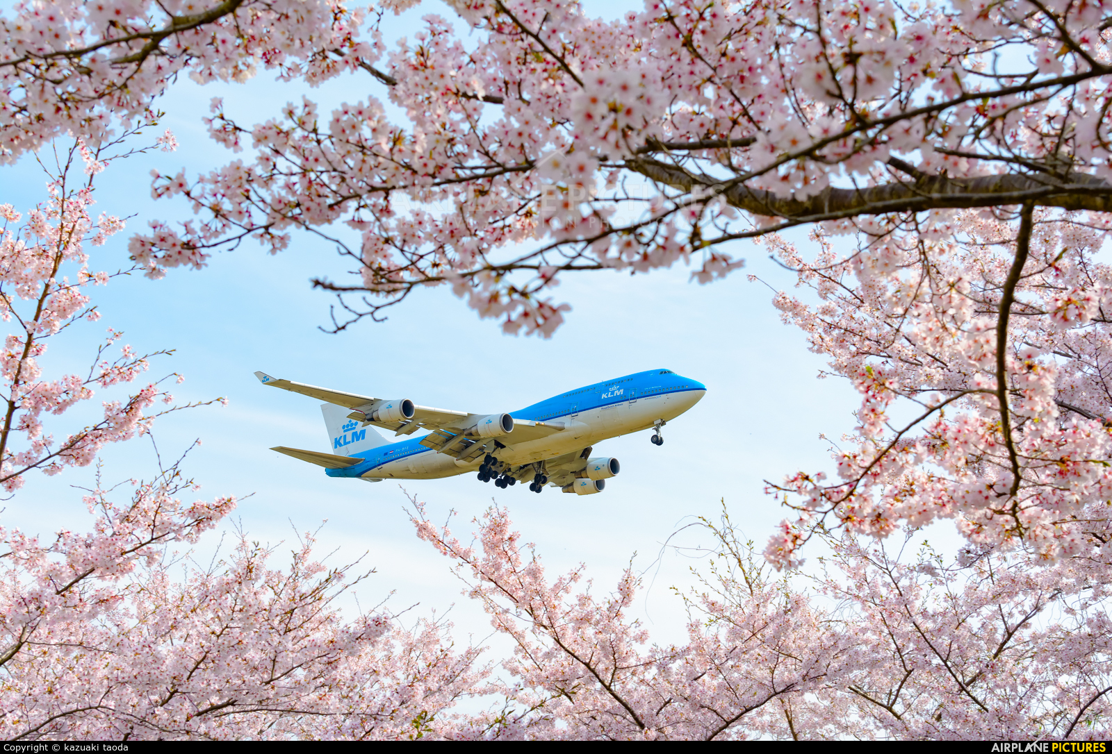 KLM PH-BFE aircraft at Tokyo - Narita Intl