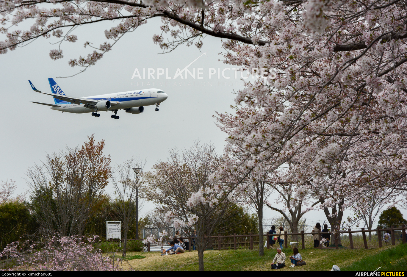 ANA - All Nippon Airways JA626A aircraft at Tokyo - Narita Intl