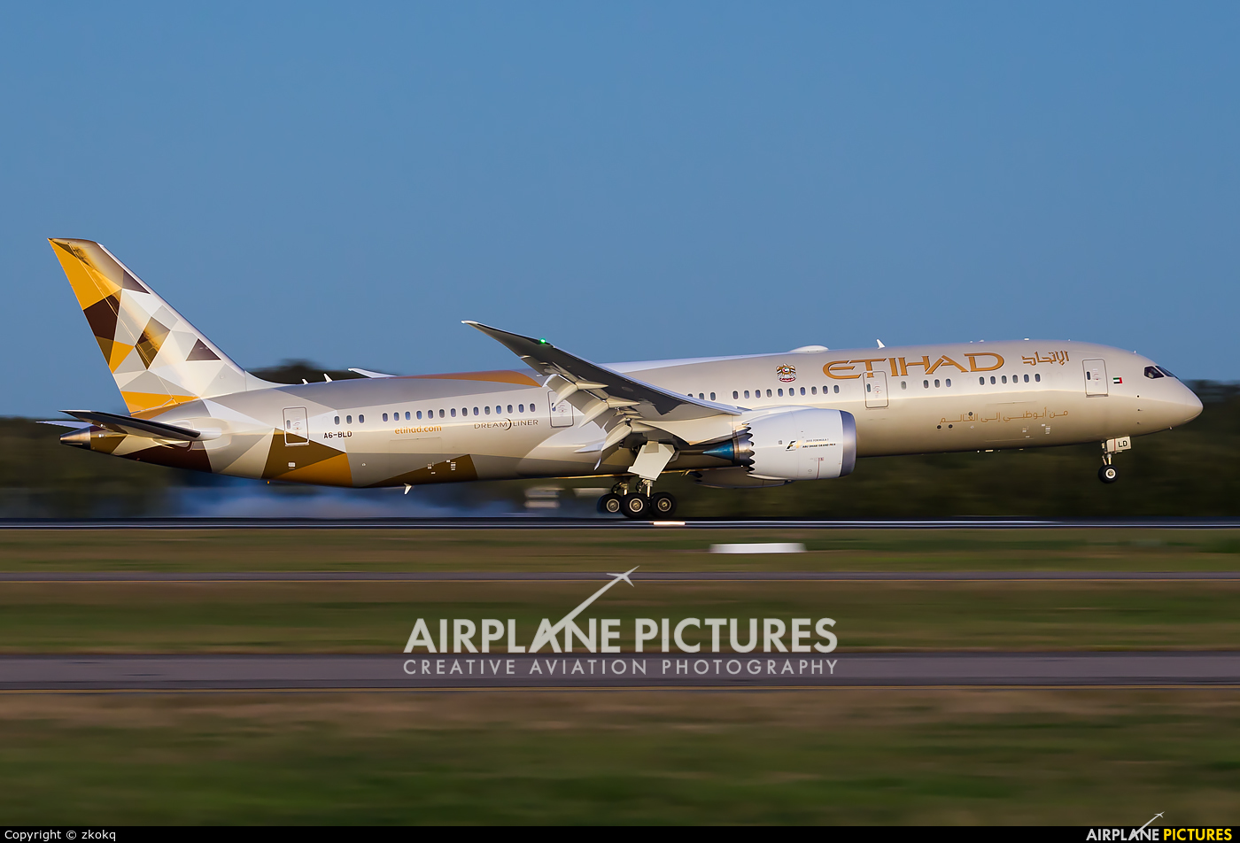 Etihad Airways A6-BLD aircraft at Brisbane, QLD