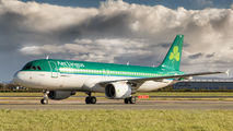 EI-DES - Aer Lingus Airbus A320 aircraft