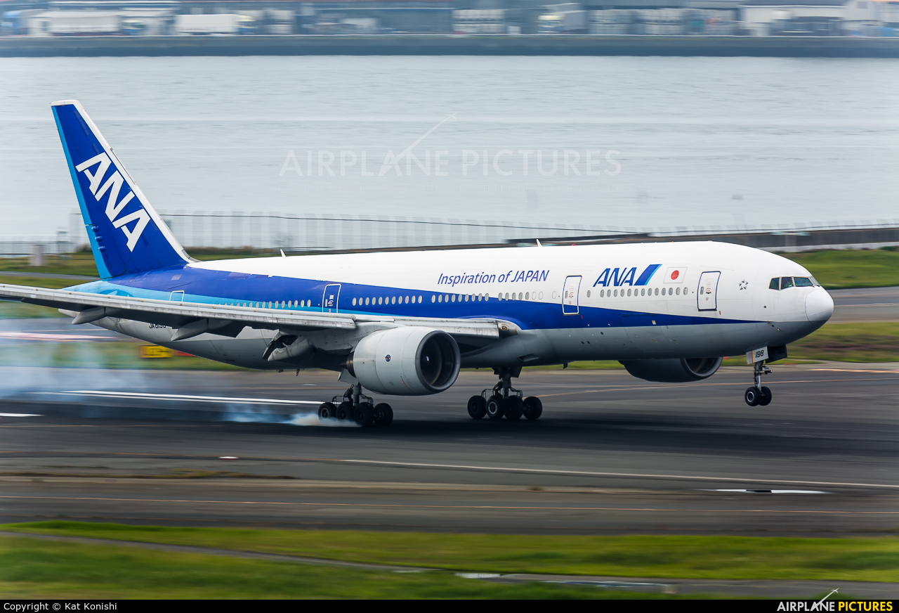 ANA - All Nippon Airways JA8198 aircraft at Tokyo - Haneda Intl
