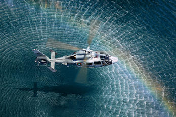 901 - Bulgaria - Navy Eurocopter AS365 Panther