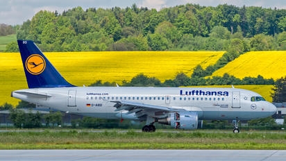 D-AIBD - Lufthansa Airbus A319