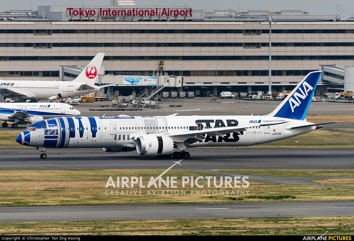 ANA - All Nippon Airways JA873A aircraft at Tokyo - Haneda Intl