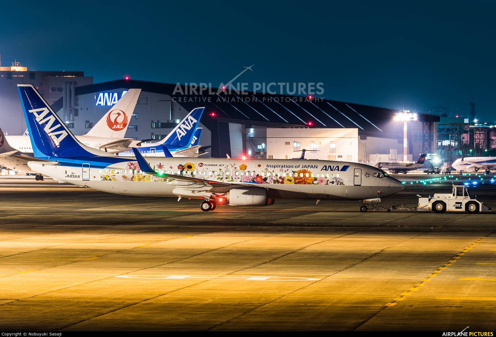 ANA - All Nippon Airways JA85AN aircraft at Osaka - Itami Intl