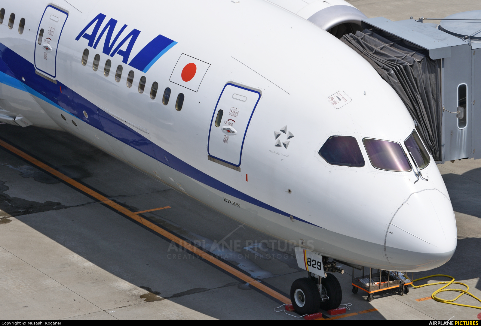 ANA - All Nippon Airways JA829A aircraft at Tokyo - Haneda Intl