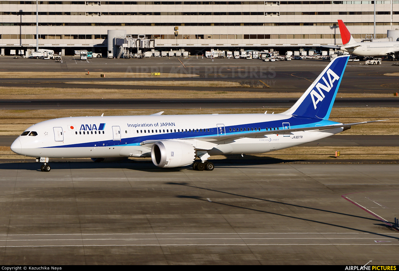 ANA - All Nippon Airways JA827A aircraft at Tokyo - Haneda Intl