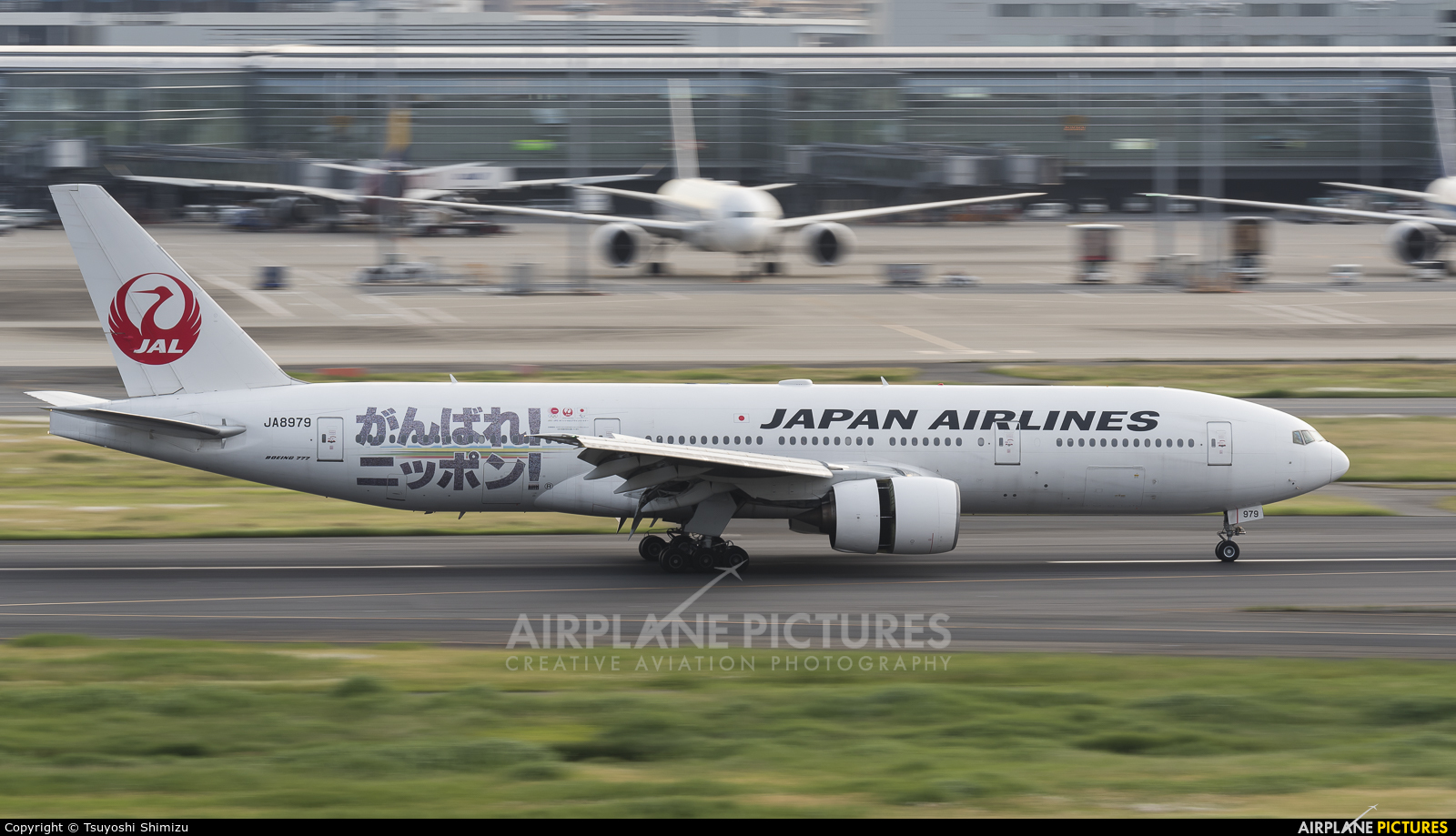 JAL - Japan Airlines JA8979 aircraft at Tokyo - Haneda Intl