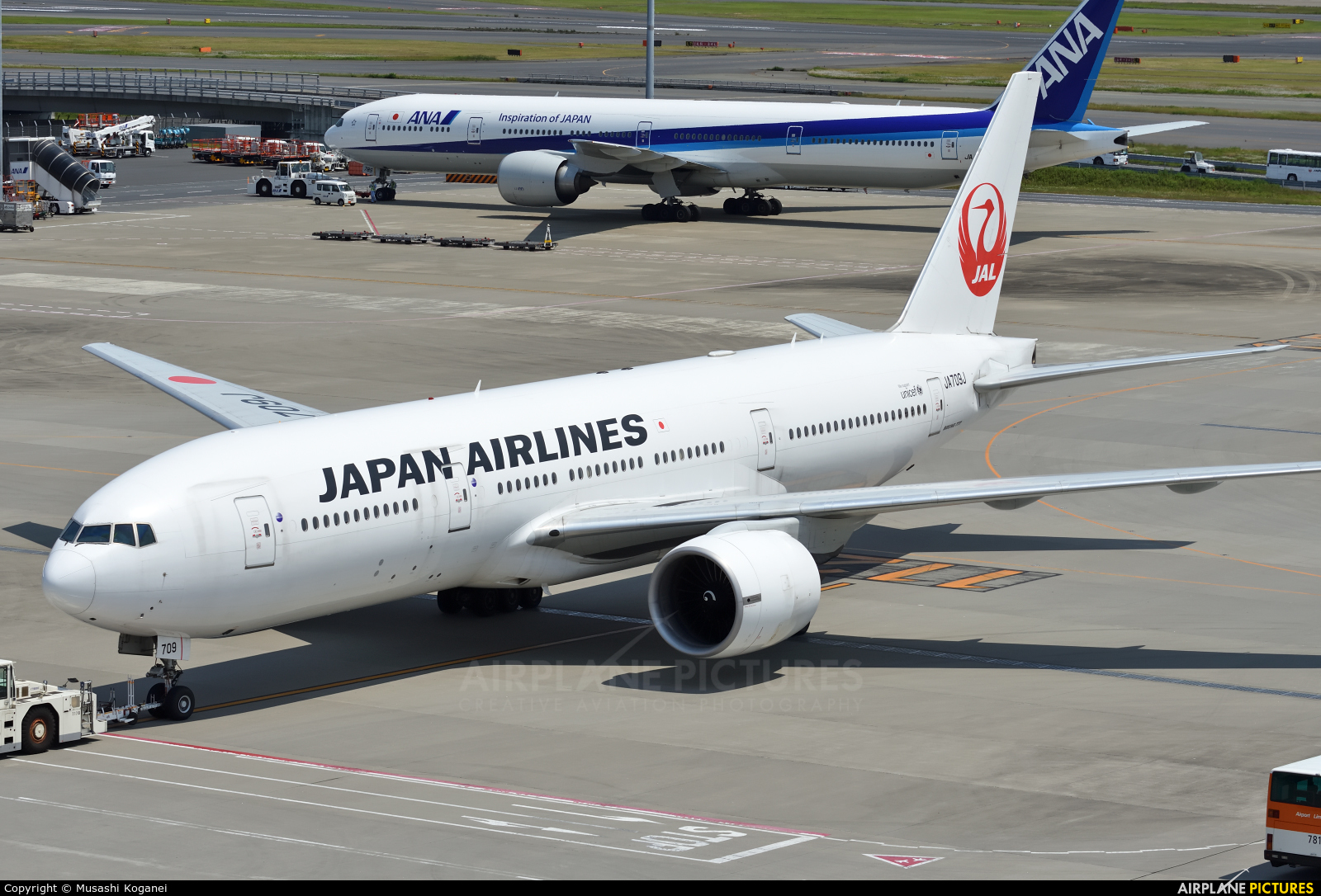 JAL - Japan Airlines JA709J aircraft at Tokyo - Haneda Intl
