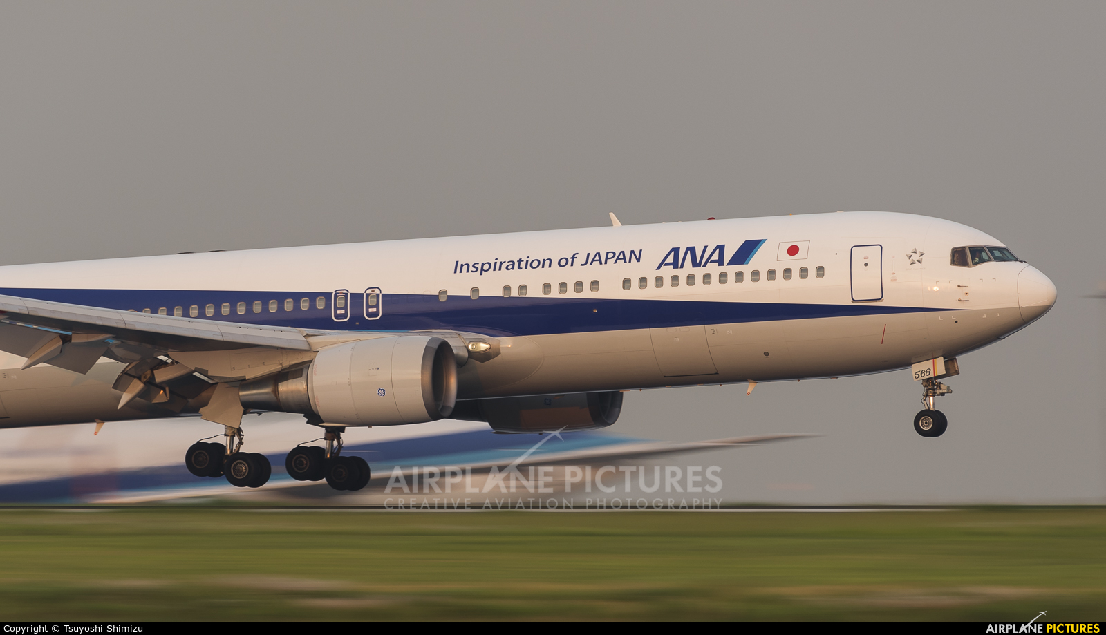 ANA - All Nippon Airways JA8568 aircraft at Tokyo - Haneda Intl