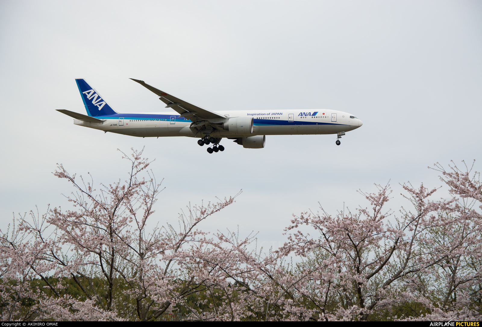 ANA - All Nippon Airways JA734A aircraft at Tokyo - Narita Intl