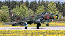 Poland - Air Force 310 image