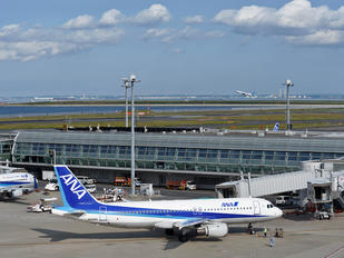 JA8396 - ANA - All Nippon Airways Airbus A320