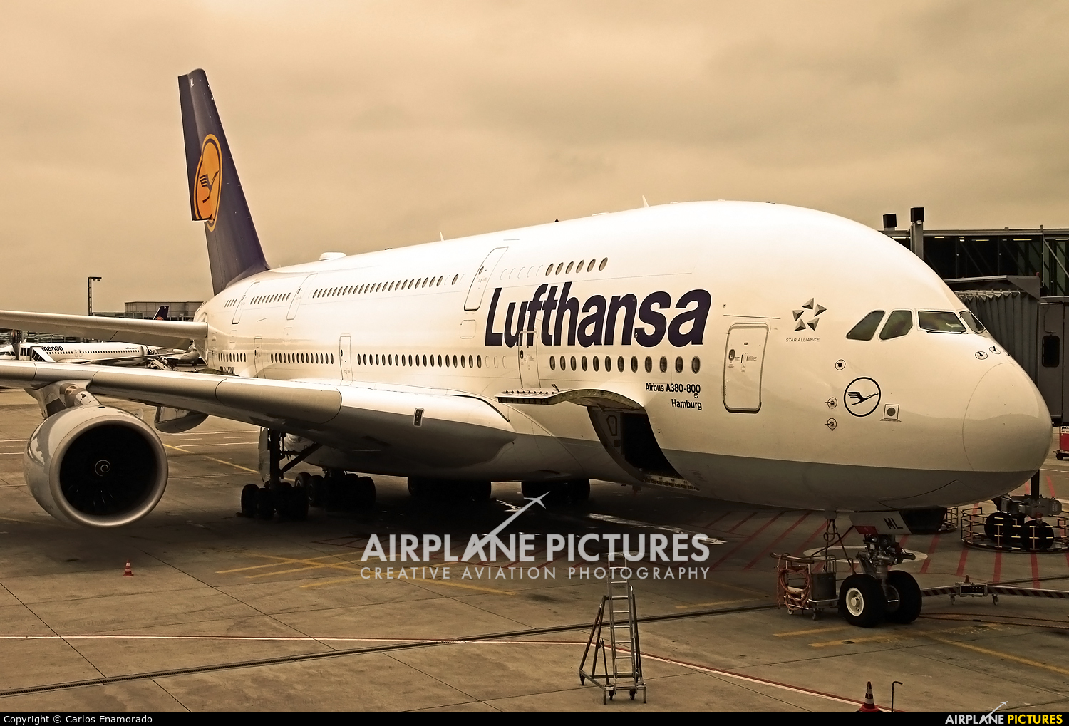 Lufthansa D-AIML aircraft at Frankfurt