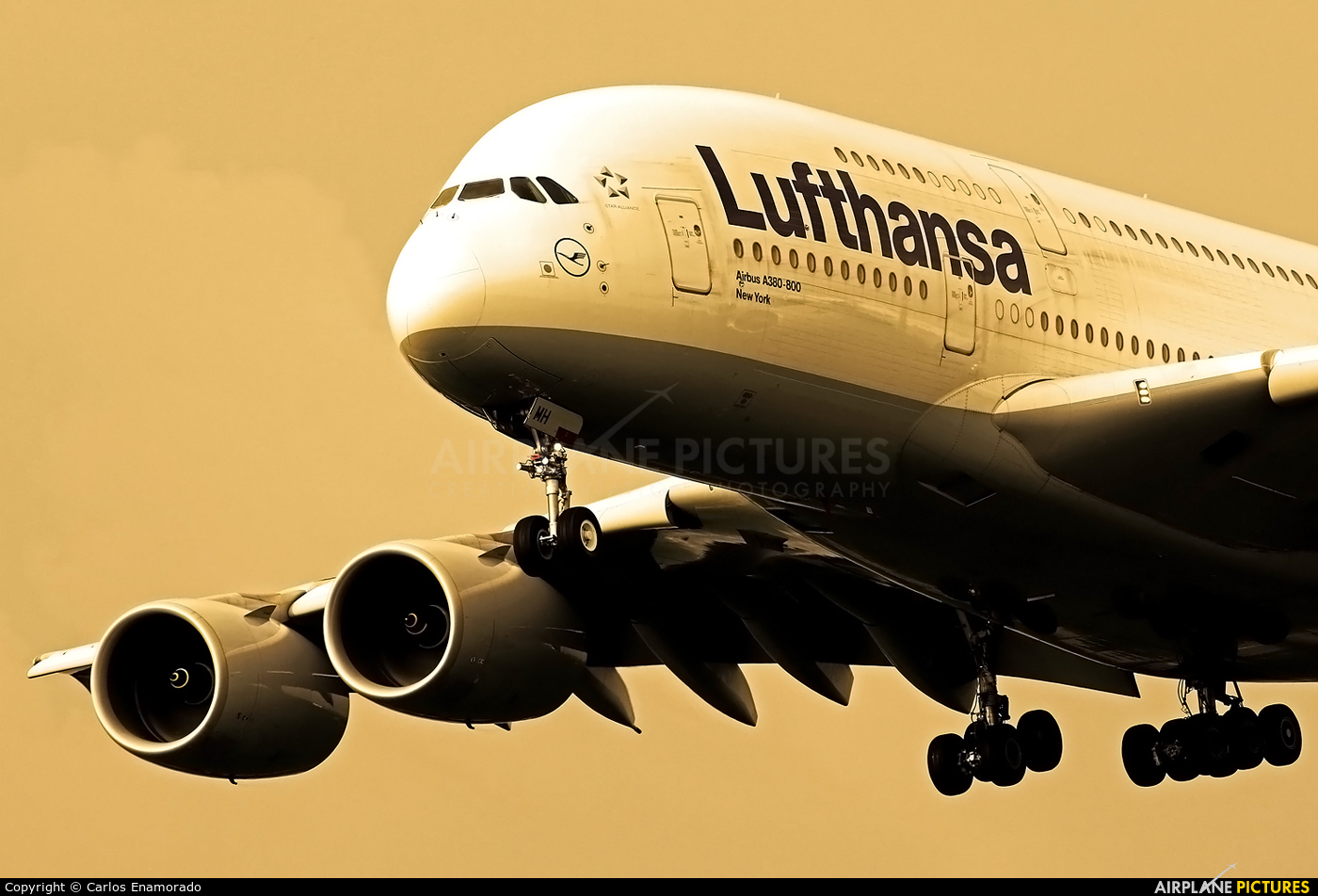Lufthansa D-AIMH aircraft at Frankfurt