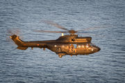 ET-508 - Spain - Army Eurocopter AS332 Super Puma aircraft
