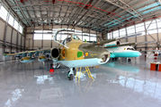 Kazakhstan - Air Force 05 image