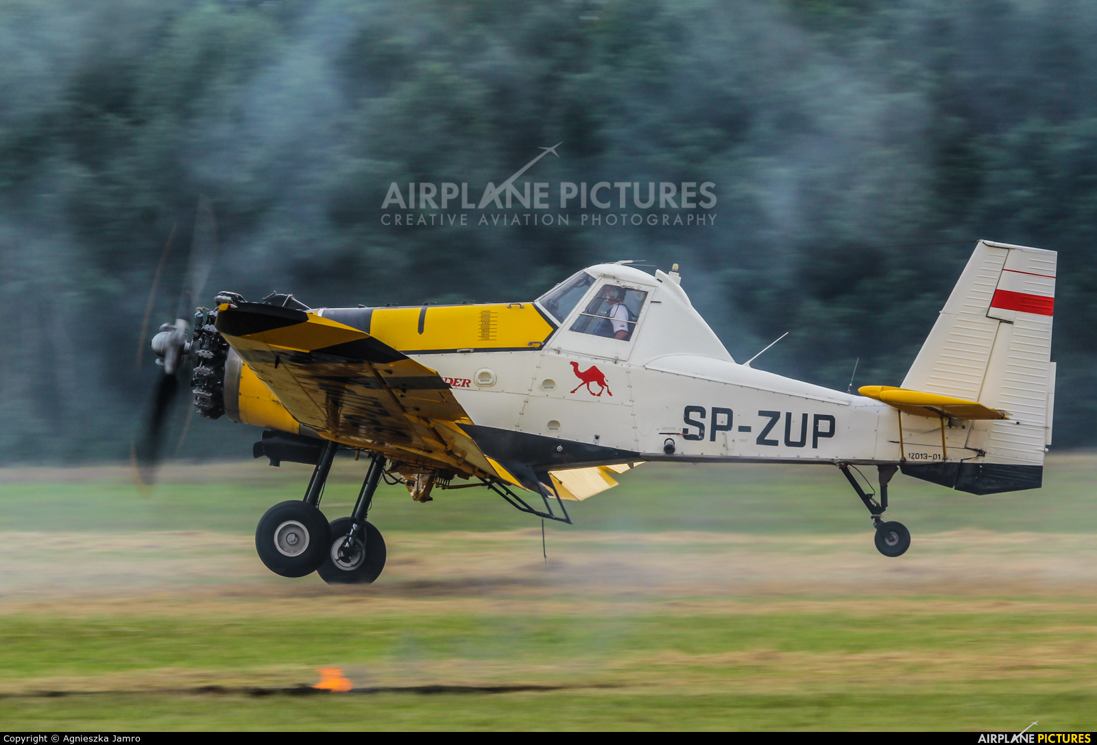 ZUA Mielec SP- ZUP aircraft at Rybnik - Gotartowice
