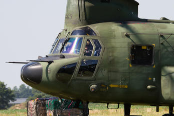 D-663 - Netherlands - Air Force Boeing CH-47D Chinook