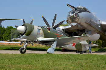 G-BZMY - Private Yakovlev Yak-11