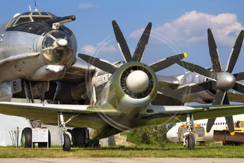 G-BZMY - Private Yakovlev Yak-11