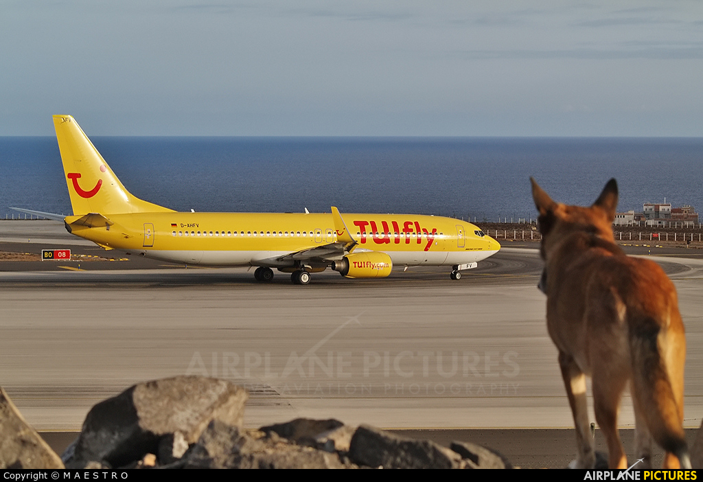 TUIfly D-AHFV aircraft at Tenerife Sur - Reina Sofia