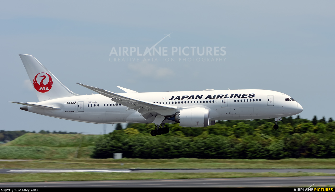 JAL - Japan Airlines JA843J aircraft at Tokyo - Narita Intl