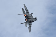 Poland - Air Force 108 image