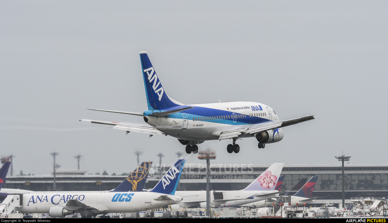 ANA Wings JA8596 aircraft at Tokyo - Narita Intl