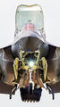 ZM137 - Royal Air Force Lockheed Martin F-35B Lightning II aircraft