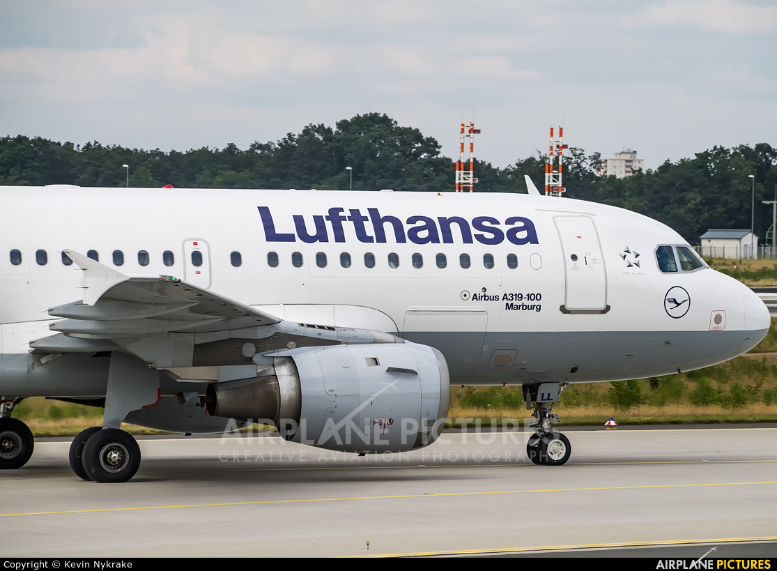 Lufthansa D-AILL aircraft at Frankfurt