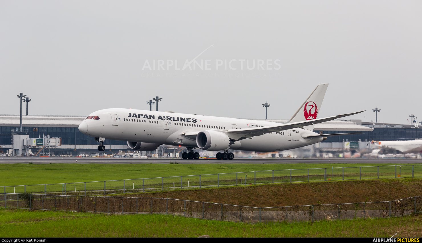 JAL - Japan Airlines JA861J aircraft at Tokyo - Narita Intl