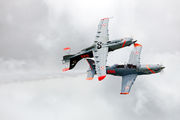 050 - Poland - Air Force "Orlik Acrobatic Group" PZL 130 Orlik TC-1 / 2 aircraft