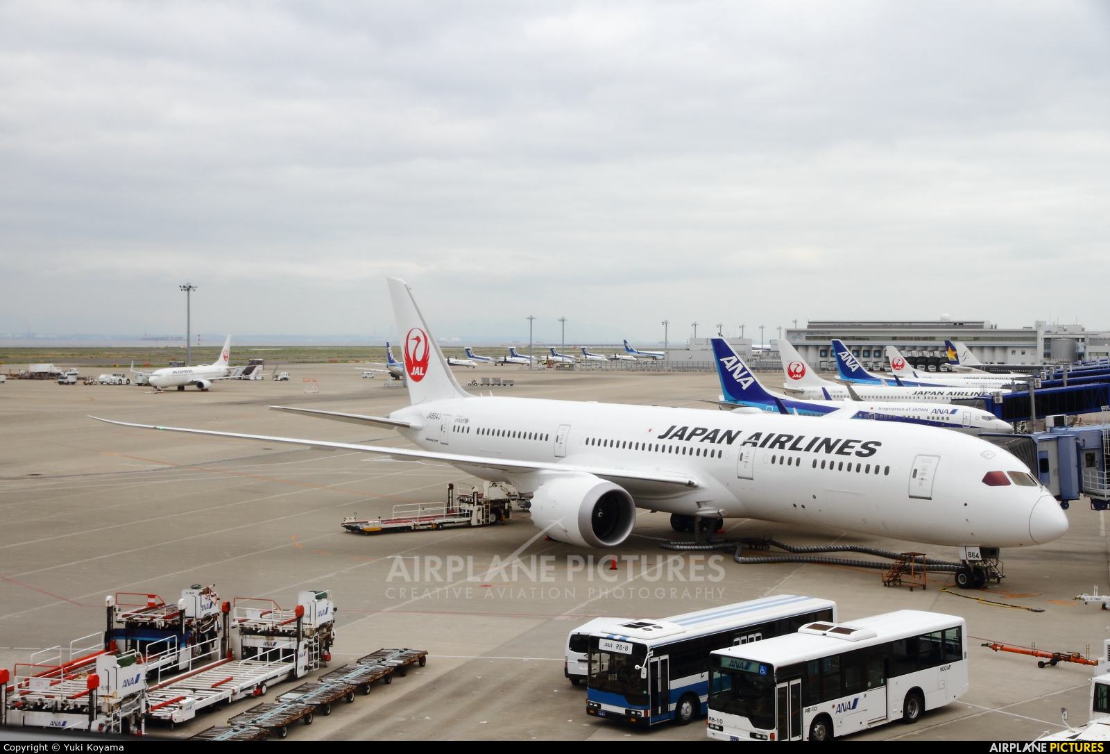 JAL - Japan Airlines JA864J aircraft at Chubu Centrair Intl