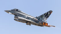 30+29 - Germany - Air Force Eurofighter Typhoon S aircraft